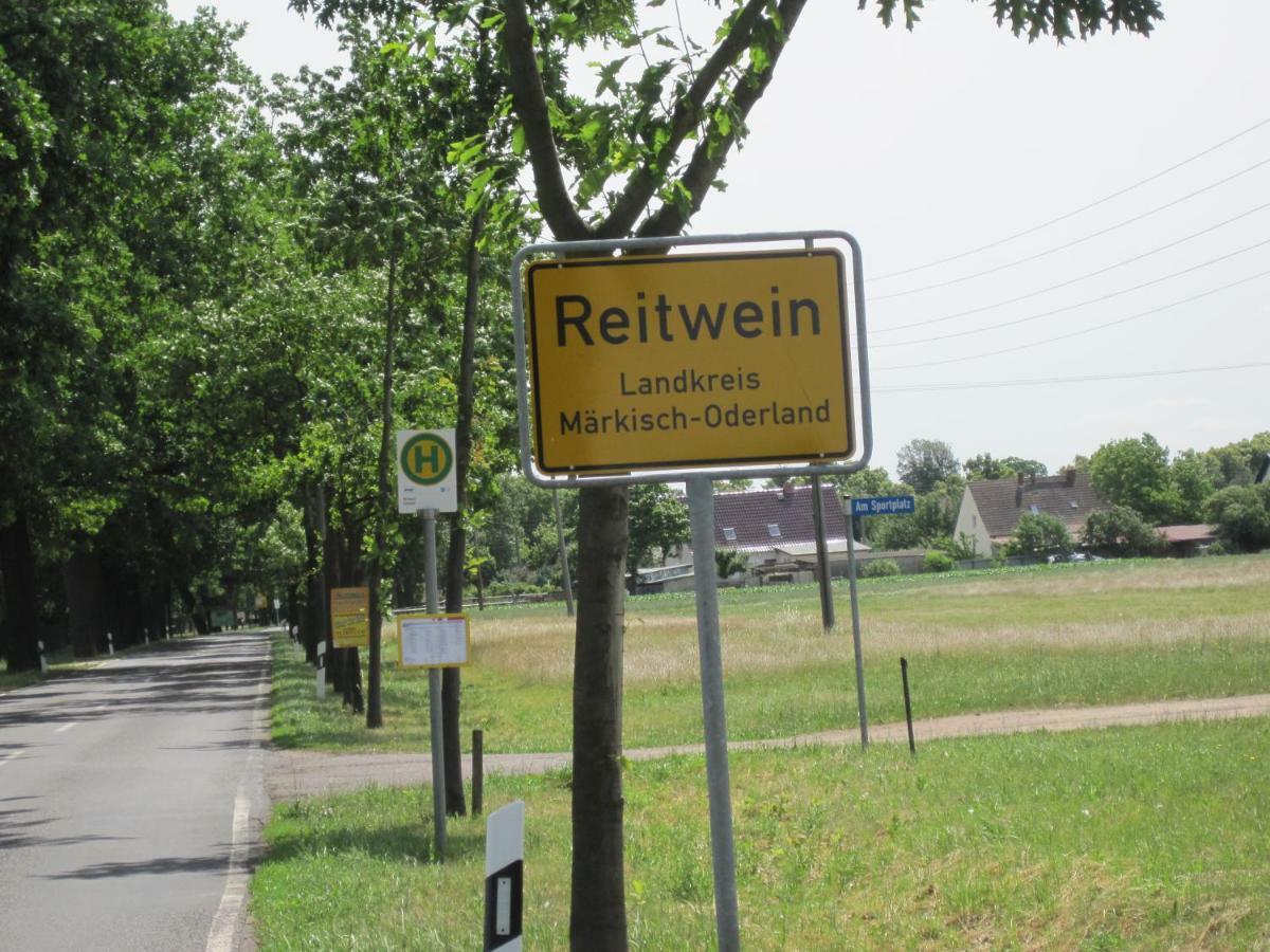 Pension Zum Weissen Hirsch Reitwein Zewnętrze zdjęcie