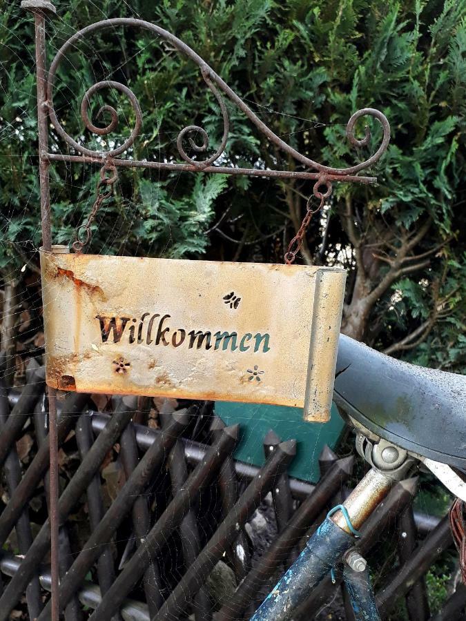 Pension Zum Weissen Hirsch Reitwein Zewnętrze zdjęcie