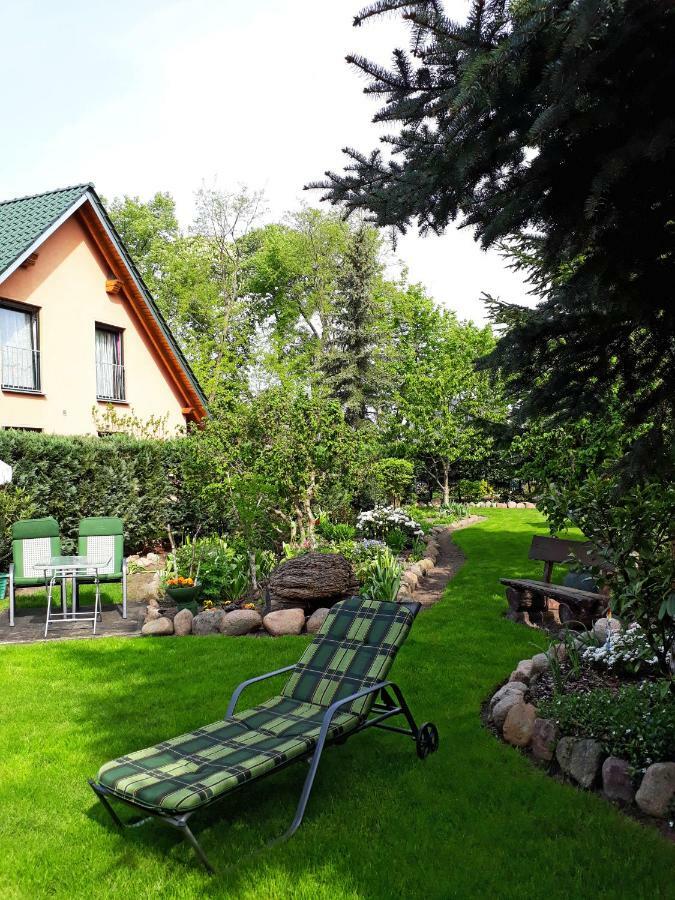 Pension Zum Weissen Hirsch Reitwein Zewnętrze zdjęcie